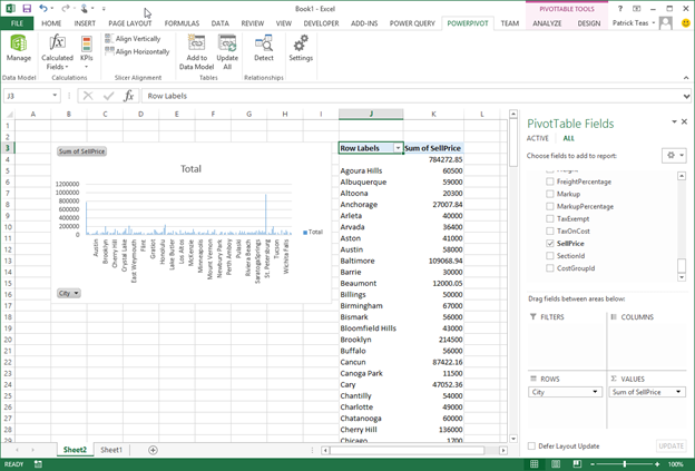 Excel Workbook; shows and example of the data expressed in a pivot table.