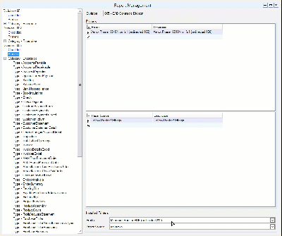 Report Management window showing where to copy and paste the printer name.